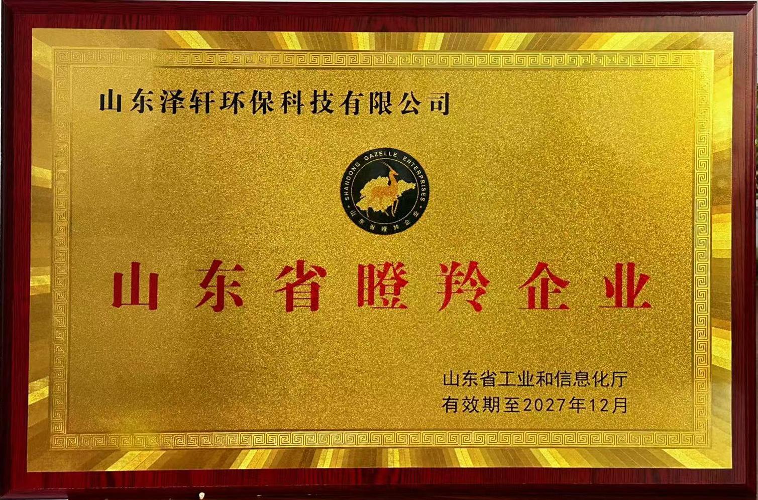 泽轩环保荣膺省级瞪羚企业，开启高速发展新征程